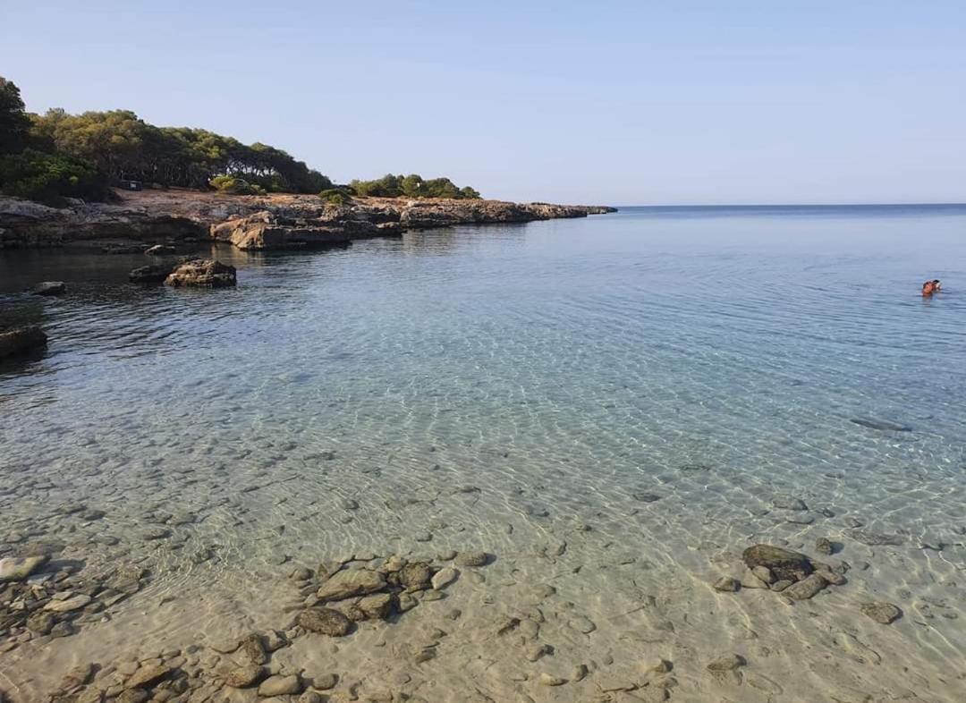 La Stella Di Chanel Tatil Evi